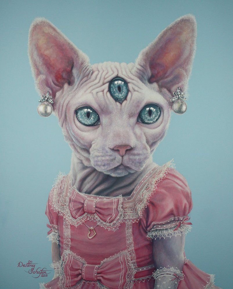 Сфинкс кот добрый