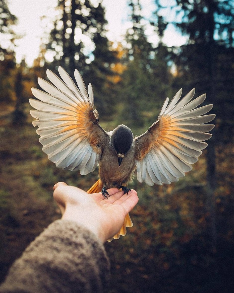 Эллен Баркин 13 друзей Оушена