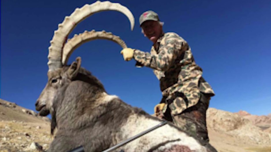 Андалузский бык коррида