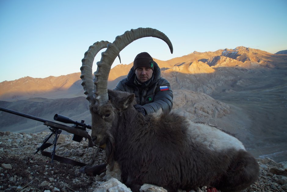 Горные Козлов Памир
