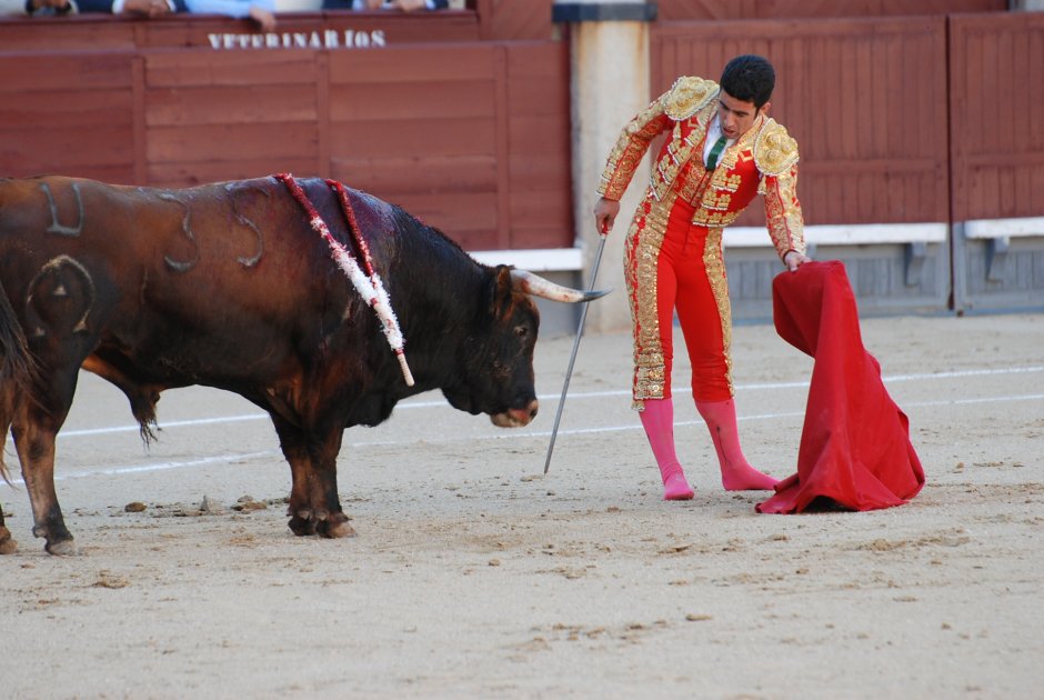 Техас Лонгхорнс бык