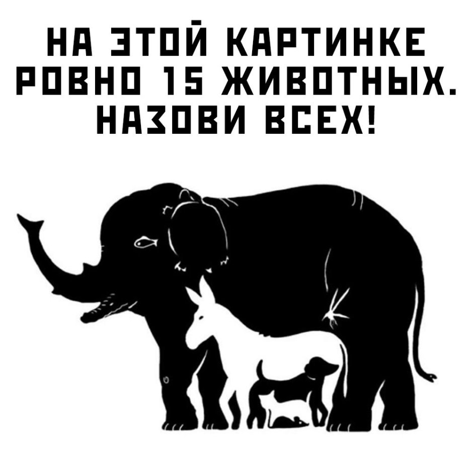 Фотосессия с ослом