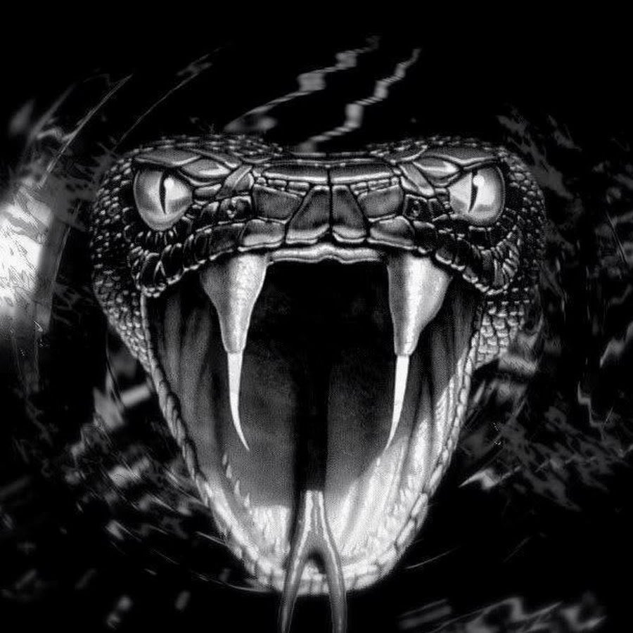 Змеиный оскал