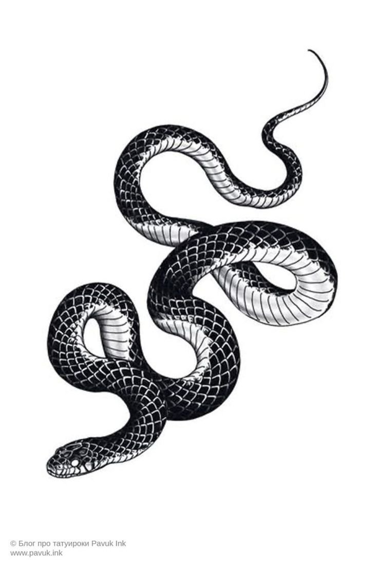 Змеи на белом фоне Королевская Кобра