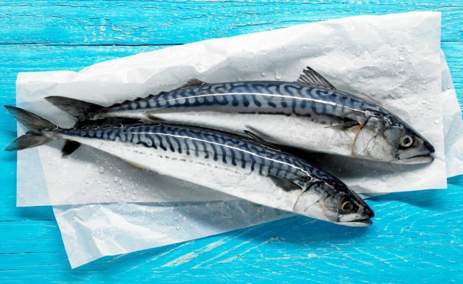 Желтопёрый тунец