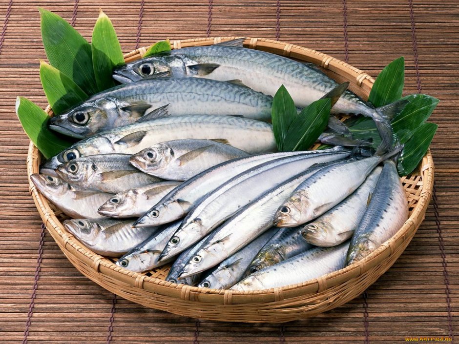 Ставрида зеленохвостая