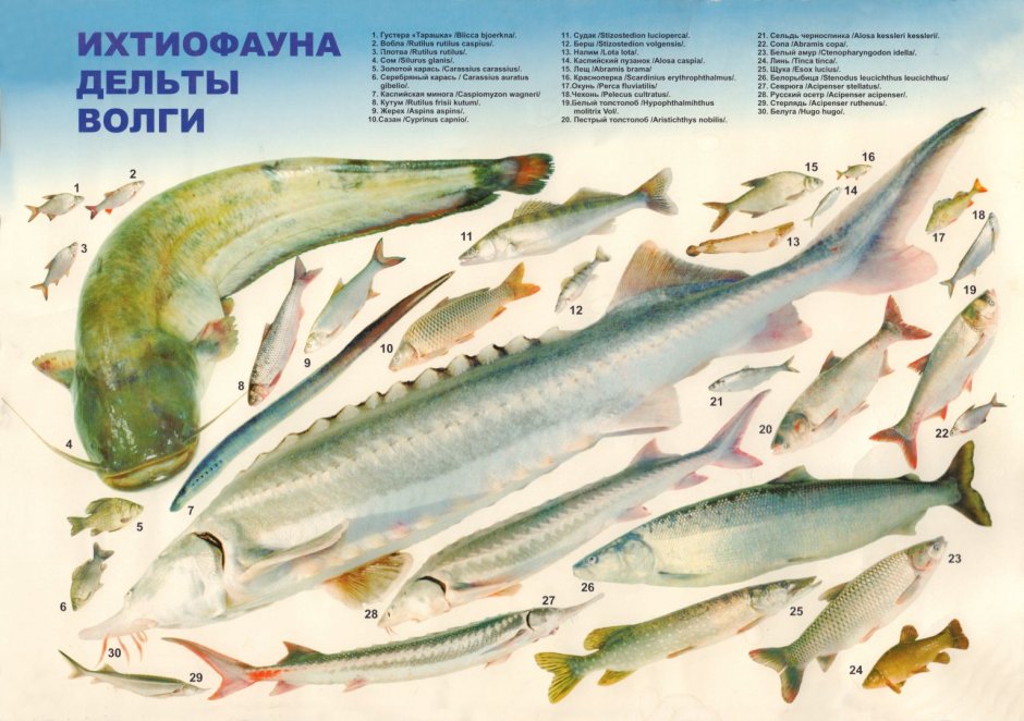 Бежевый фон Эстетика Минимализм