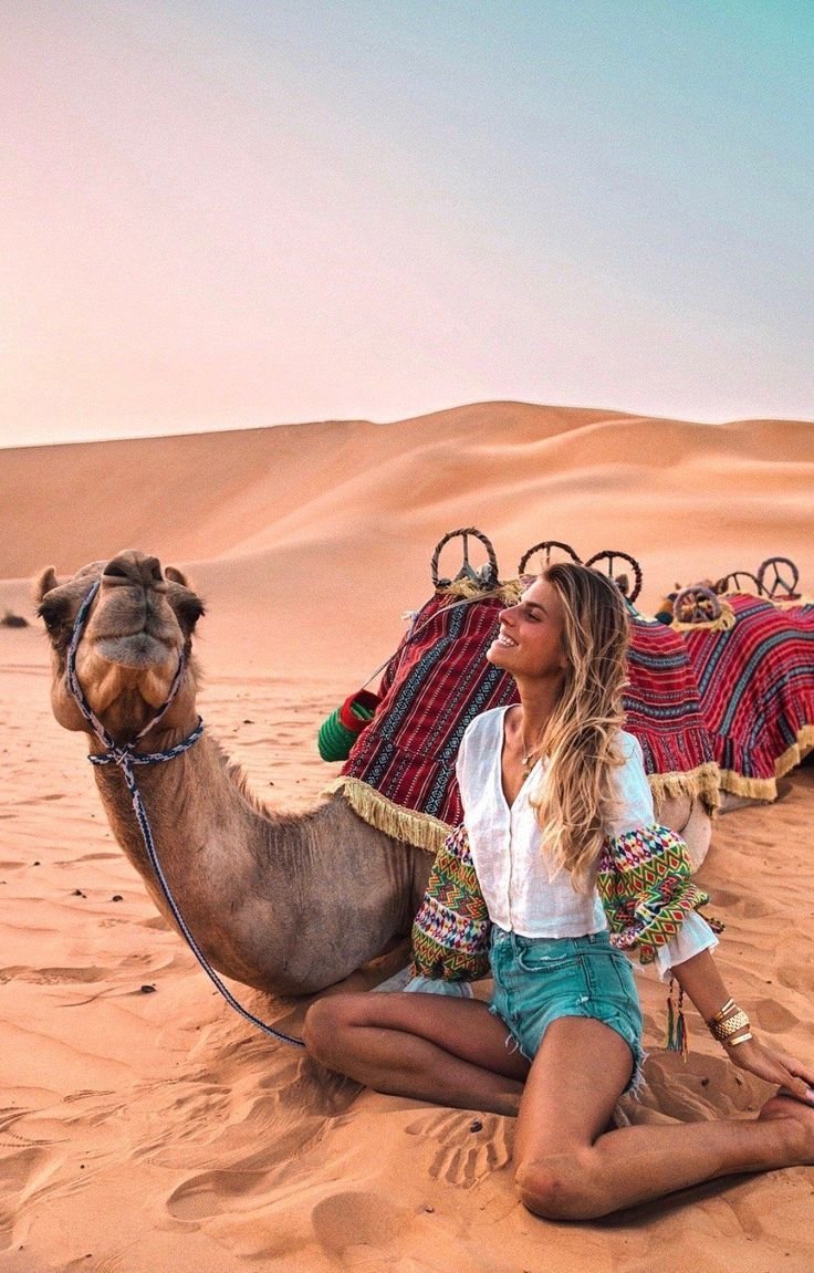 Пустыня Верблюды Караван вектор