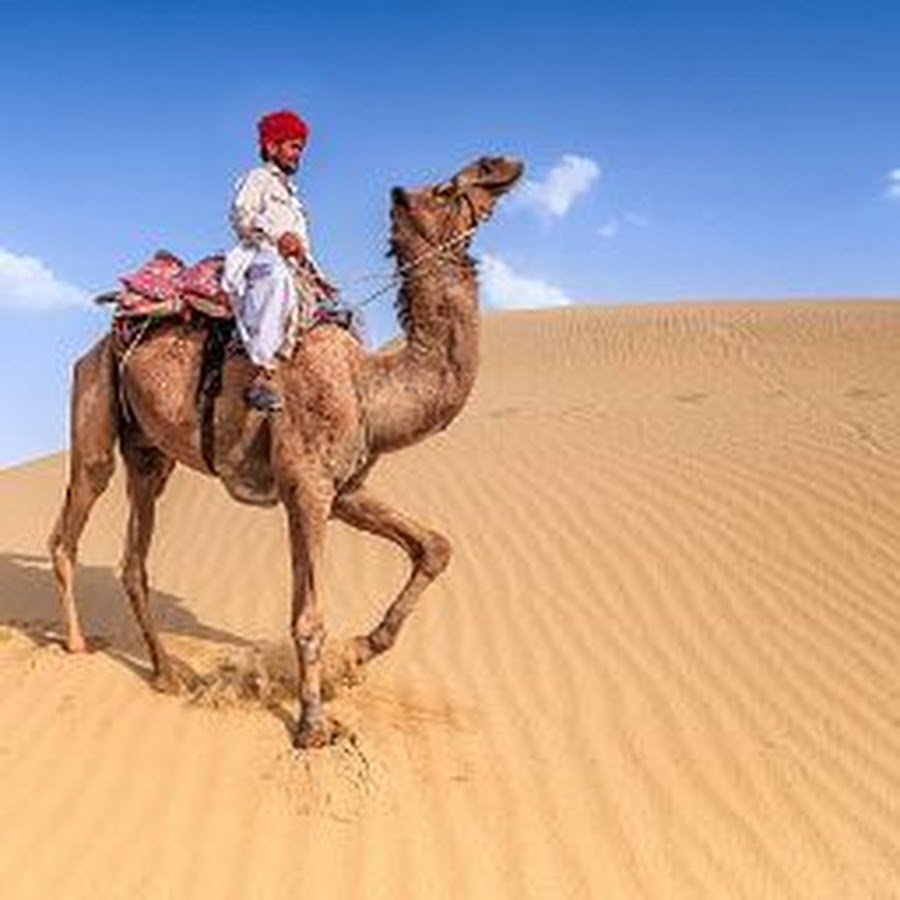 Погонщик верблюдов в пустыне