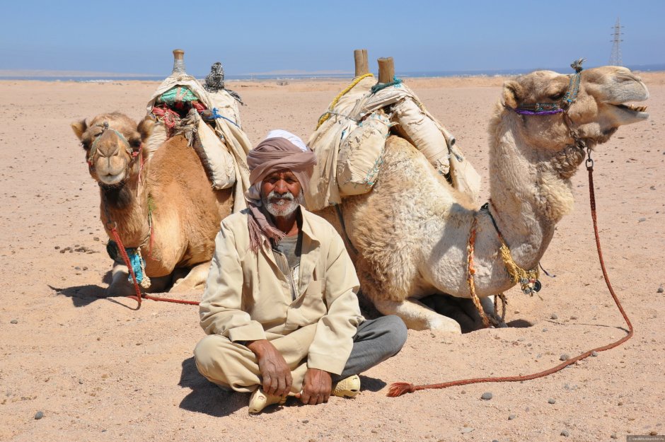 Богач ездящий на верблюде 4 буквы