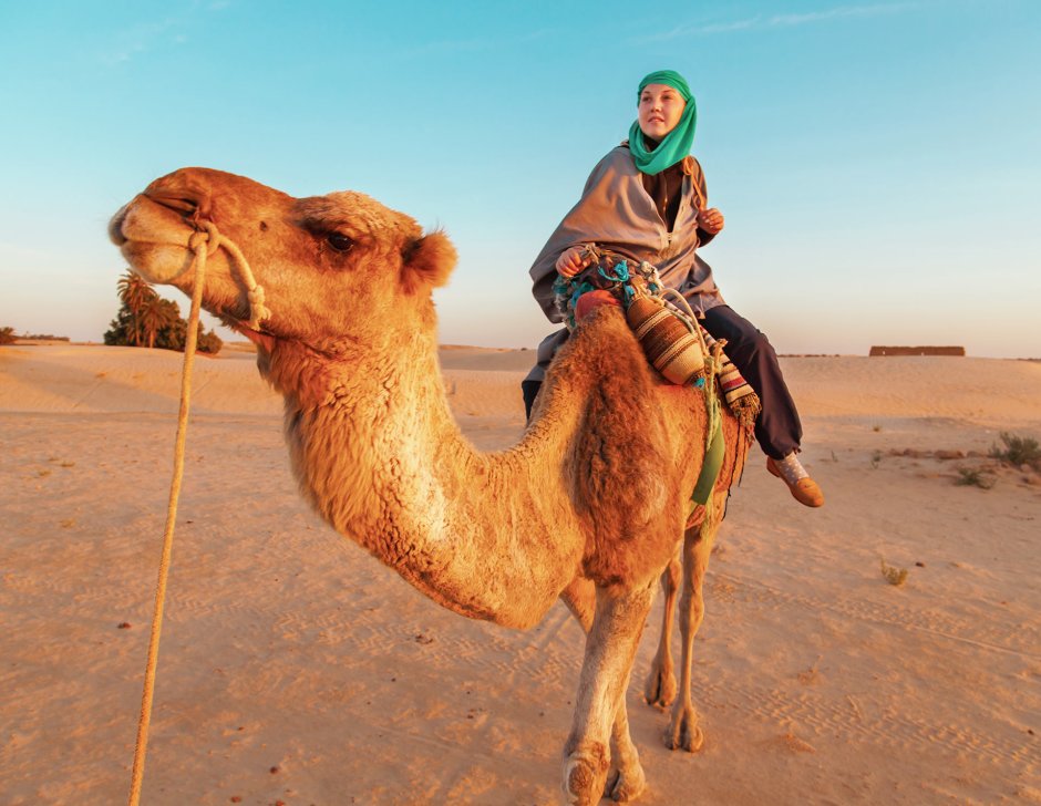 Бедуины Сахары