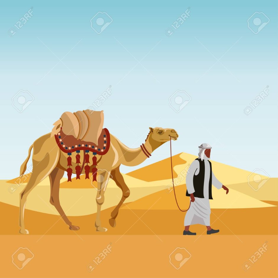 Саудовская Аравия снег в пустыне