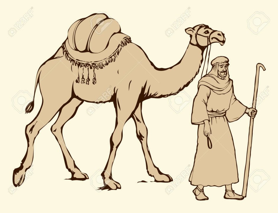 Пророк Мухаммад с.а.в и Бедуин