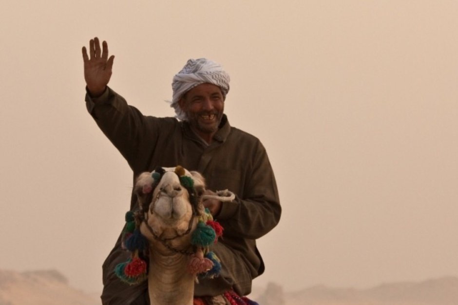 Арабы кэмел чёрный толстый