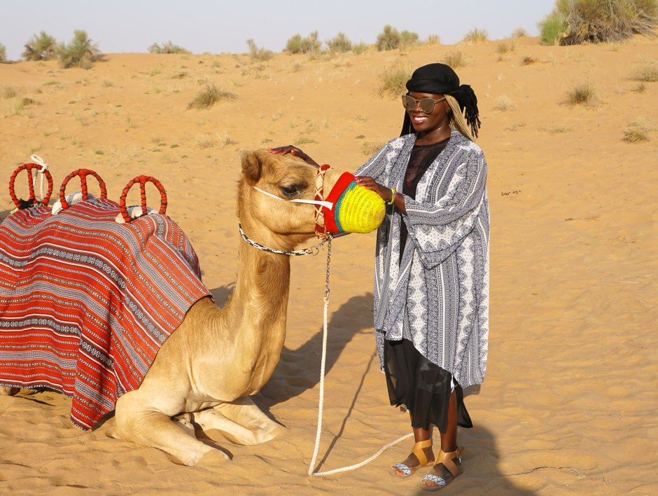 Бедуины Марокко