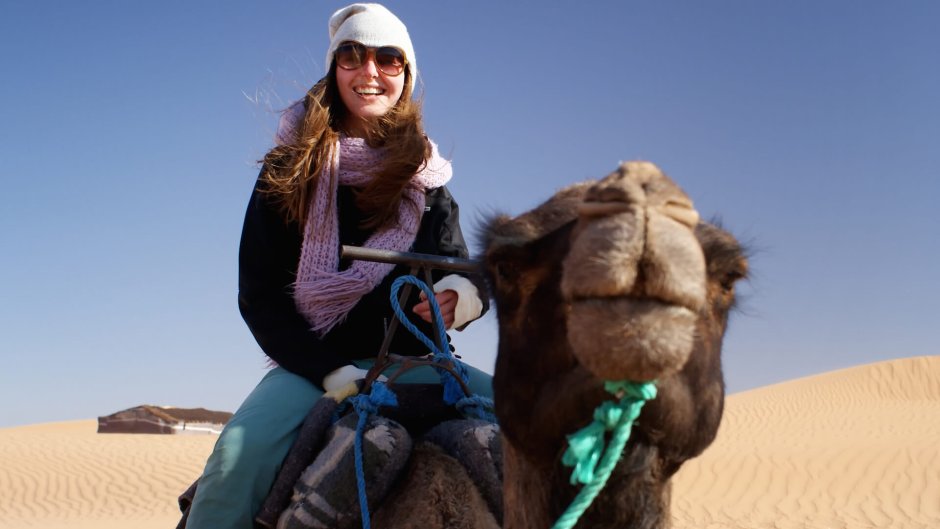 Катание на верблюдах в Египте