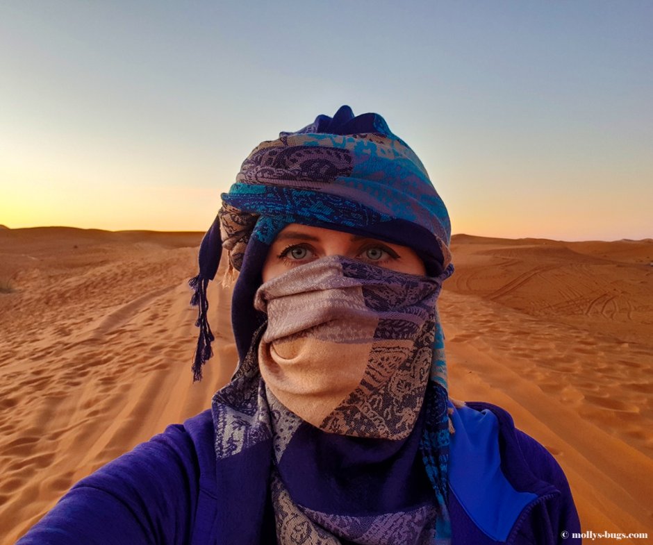 Бедуины в Египте