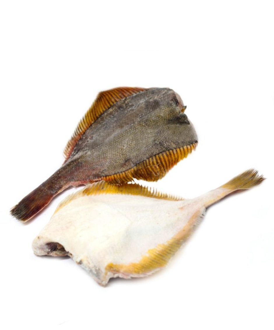 Морской ёрш камбала