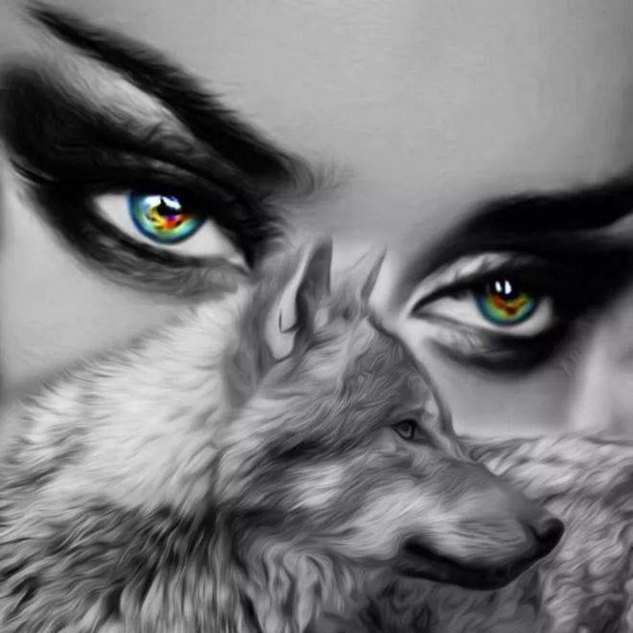 Волк подмигивает