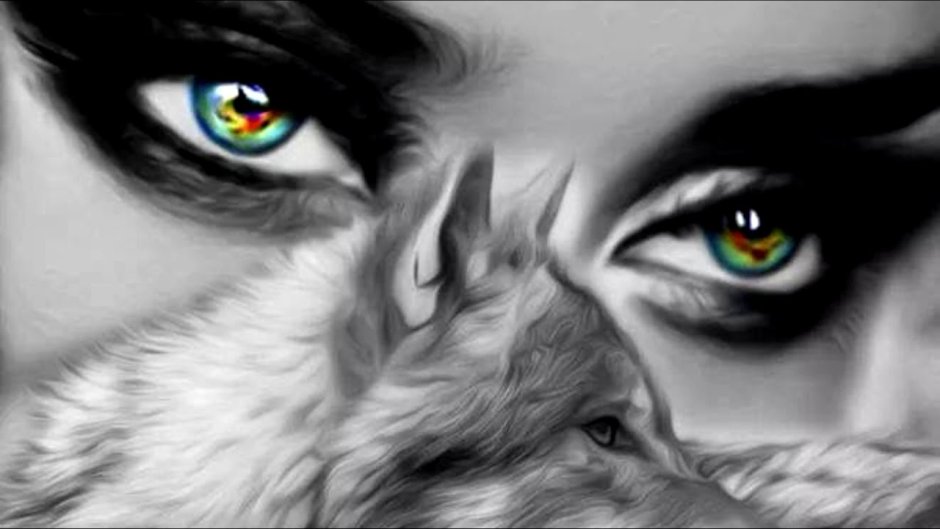 Волк - canis Lupus l.