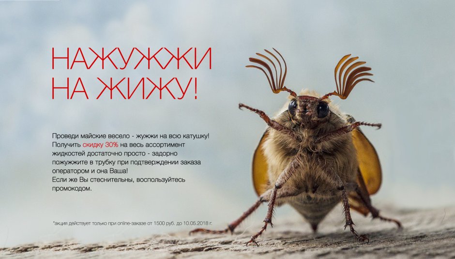 Майский Жук