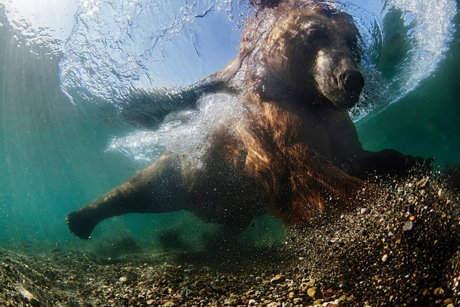 Михаил Коростелев National Geographic.