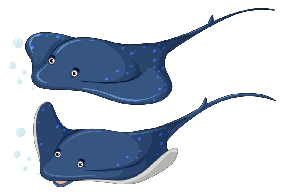 Stingray мультяшный