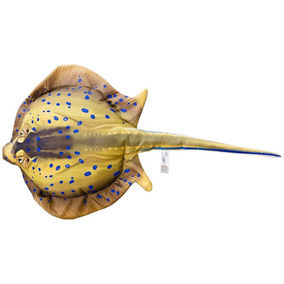Скат Stingray