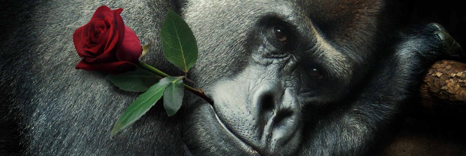 Картина Gangster Monkey
