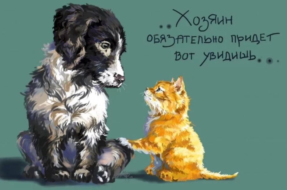 Бездомный щенок