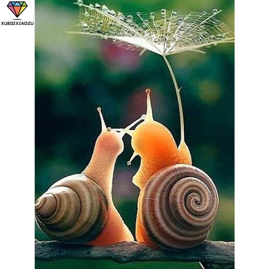 Две улитки
