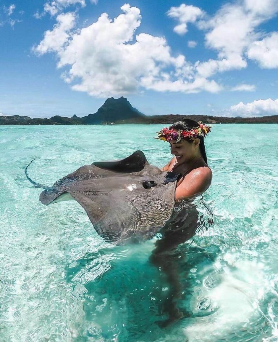 Риф на Мальдивах со скатами