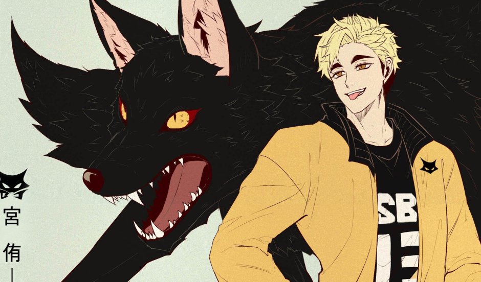 MSBY Haikyuu в шакалах