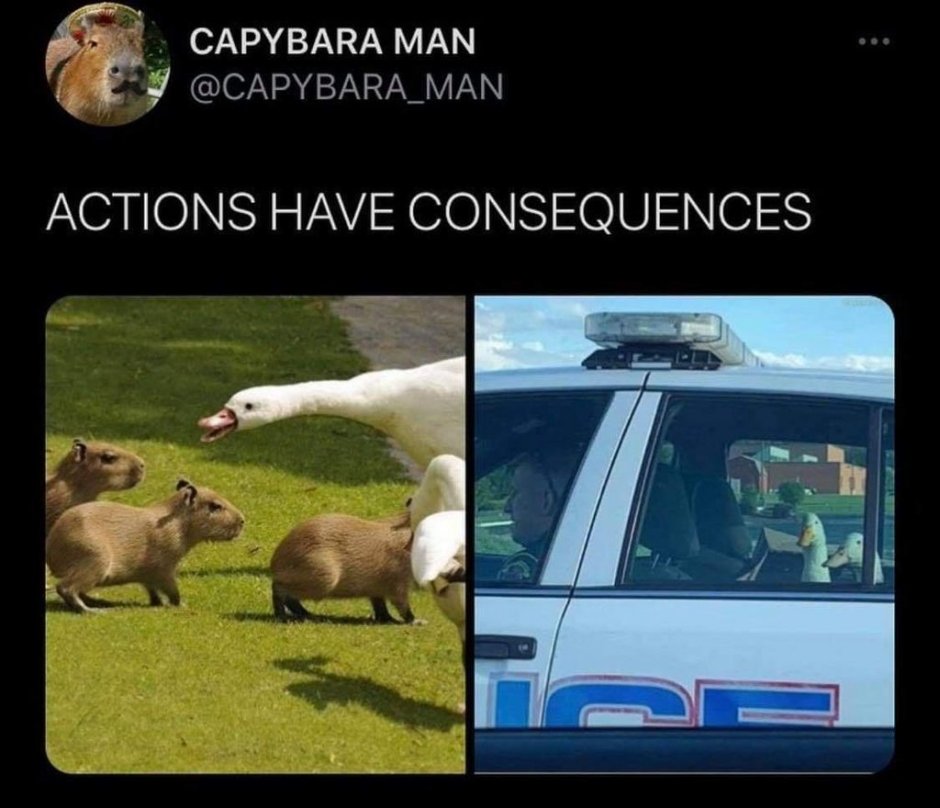 Большая морская Свинка капибара