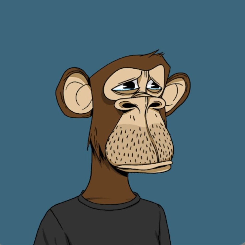 Обезьяна юмор