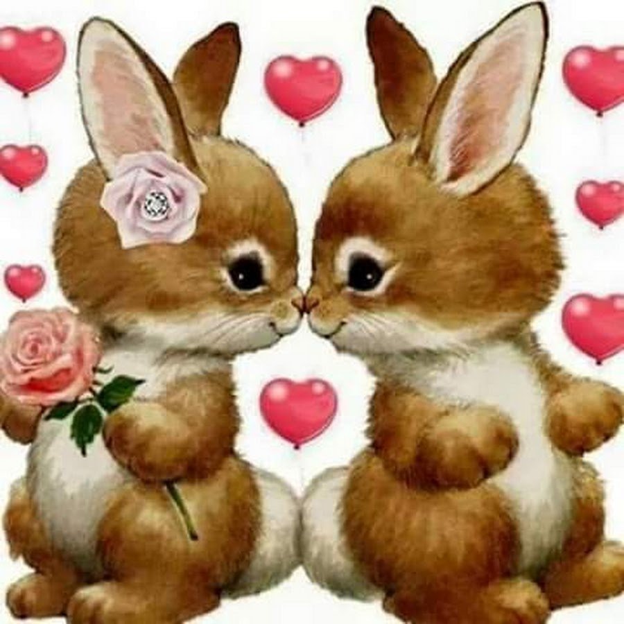 Влюбленные зайчики