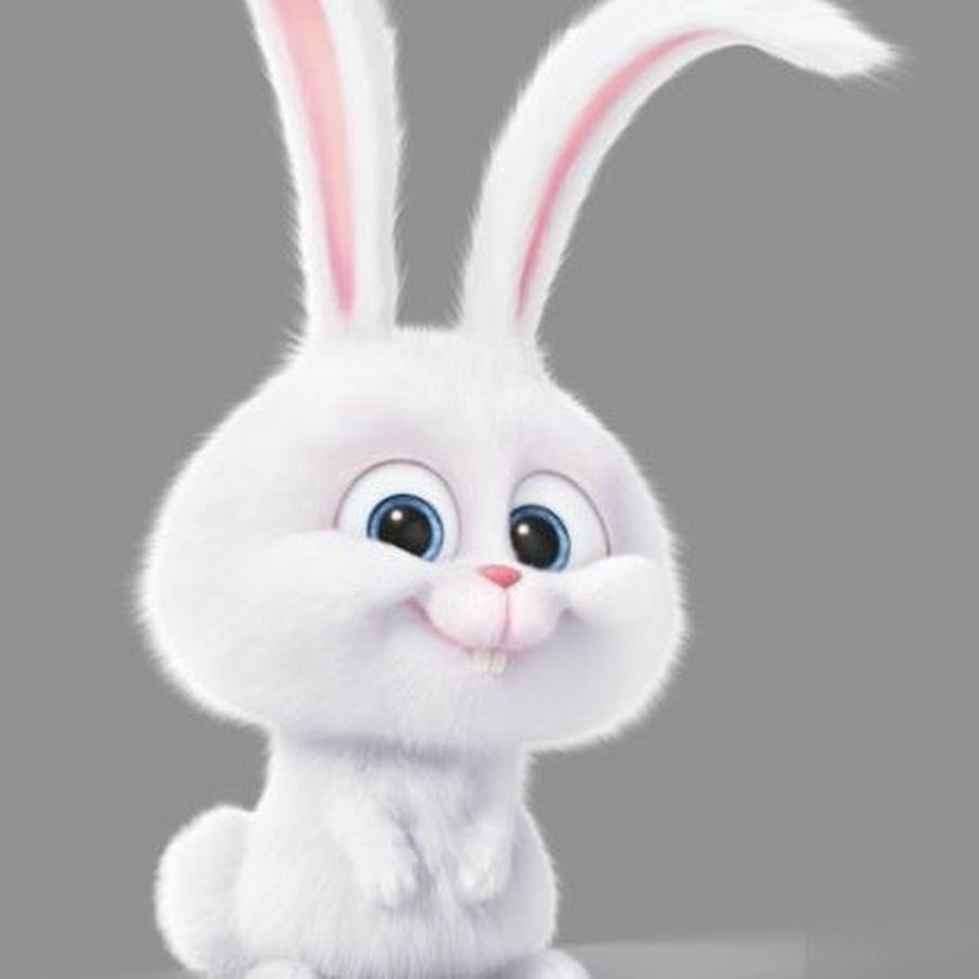 Тайная жизнь домашних животных кролик