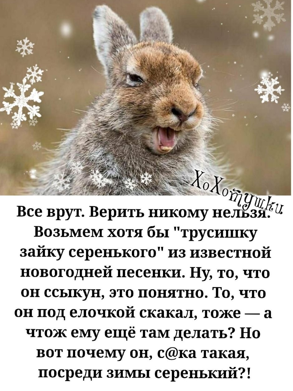 Трусишка Зайка серенький