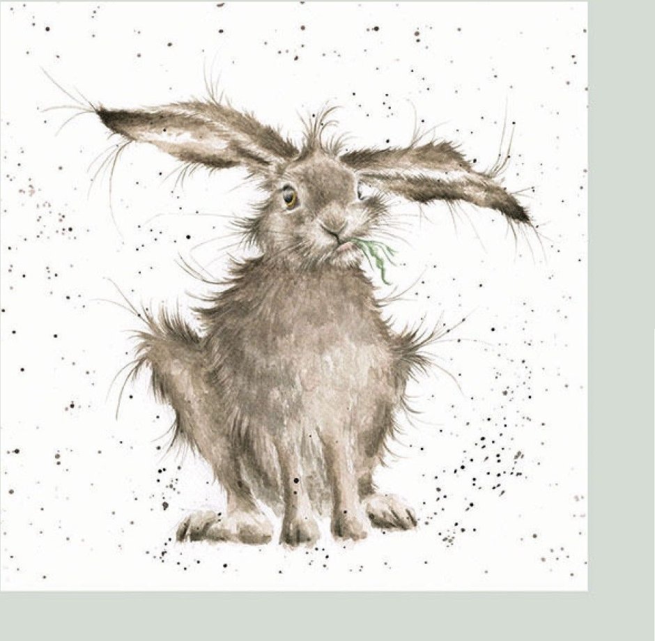 Hannah Dale Акварельные животные