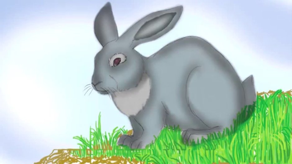 Серый заяц рисунок