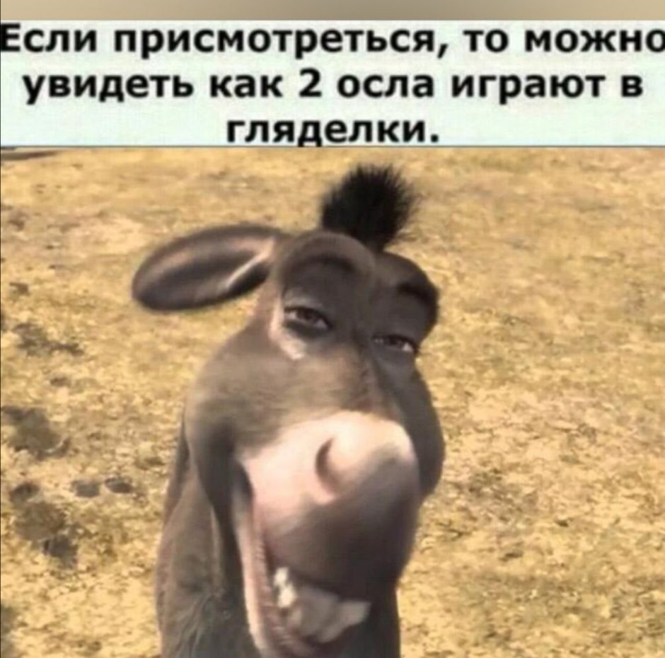 Смешной ослик
