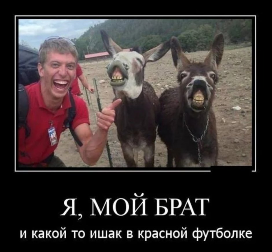 Ослик ИА И горшок