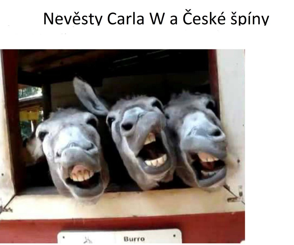 Смешной ишак