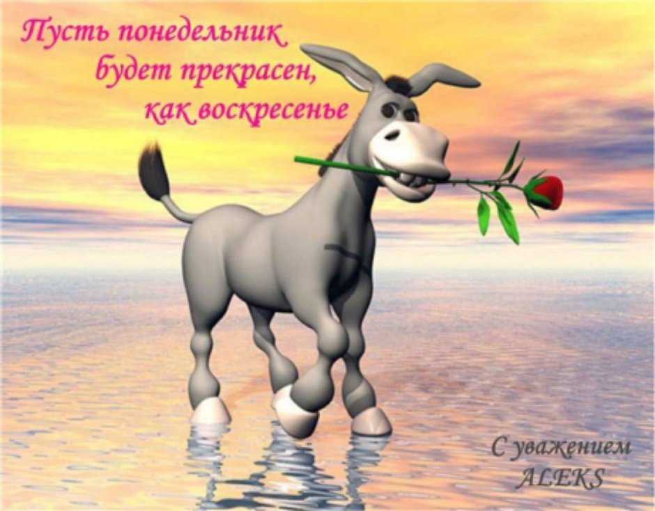 Высказывание про ослов