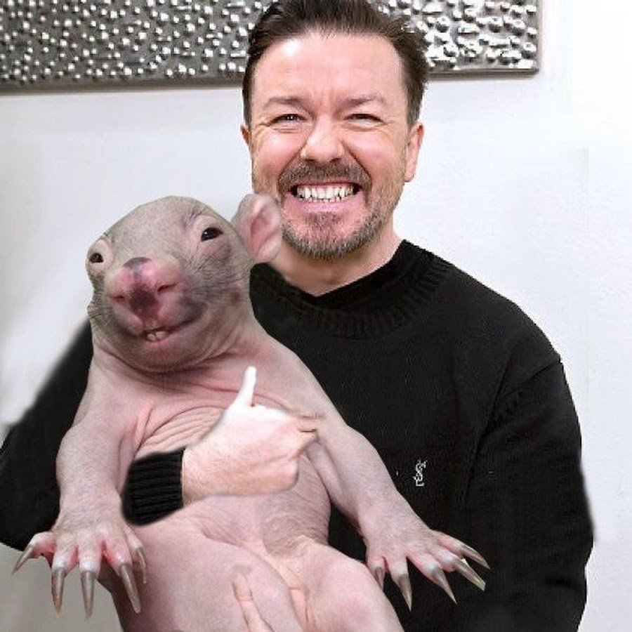 Квокка селфи