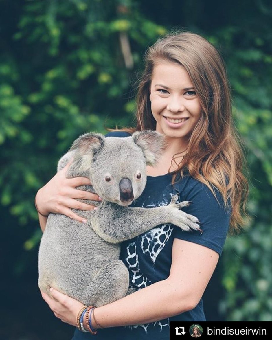 Вомбат большой на руках