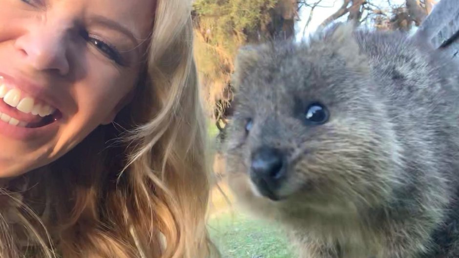 Вомбат и человек ростом