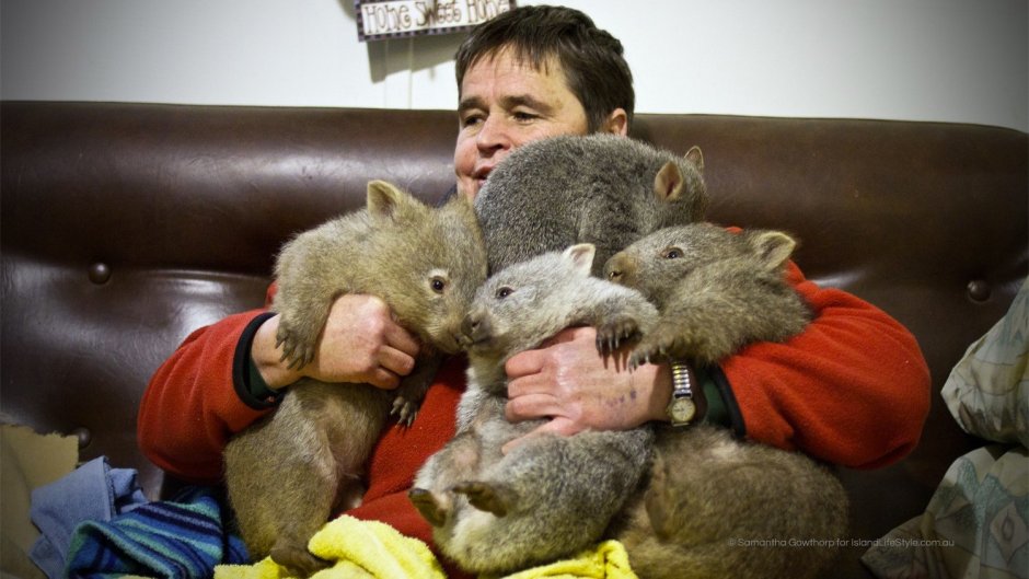 Аллан Диксон