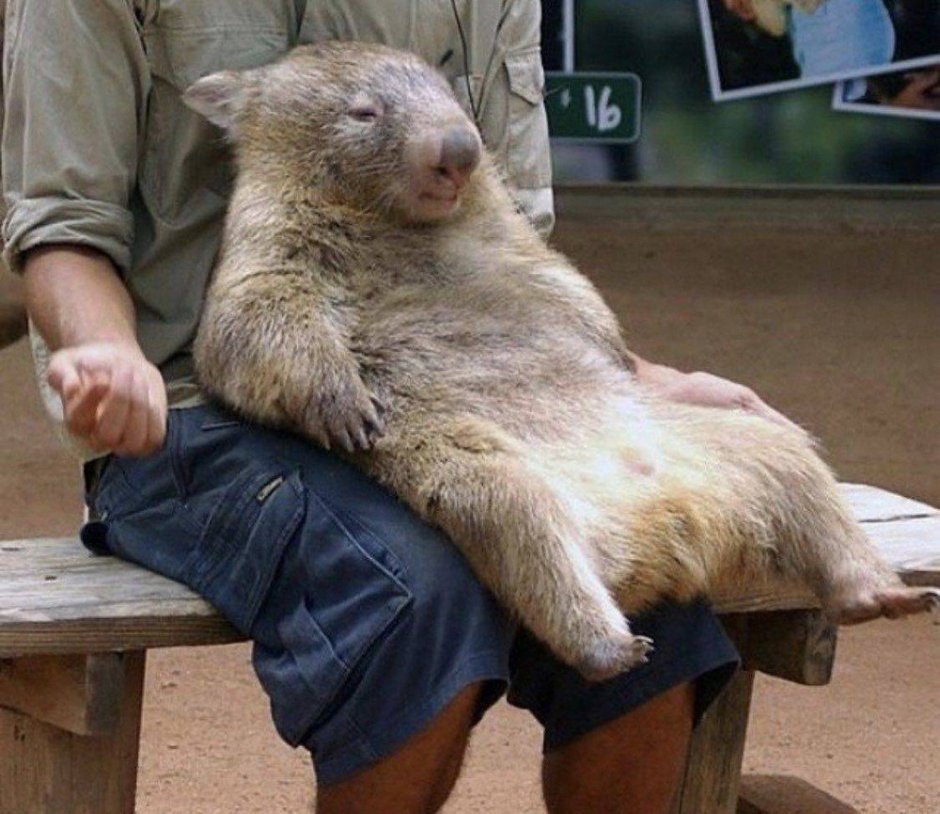 Фото приколы