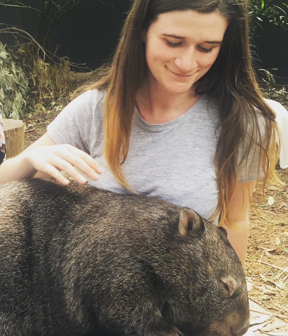 Пожар в Австралии вомбат